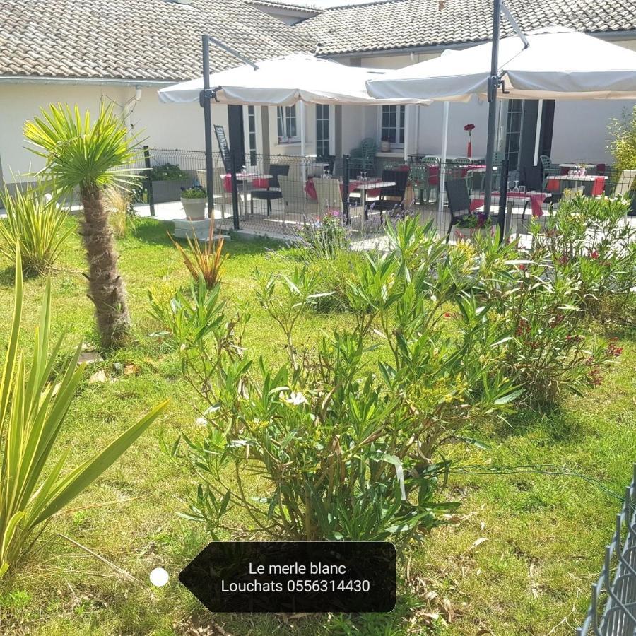 Le Merle Blanc Louchats Otel Dış mekan fotoğraf