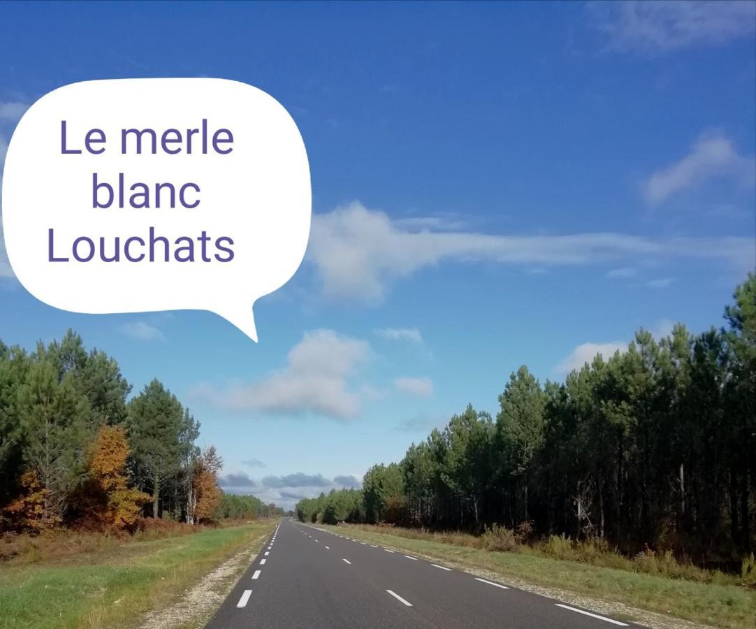 Le Merle Blanc Louchats Otel Dış mekan fotoğraf
